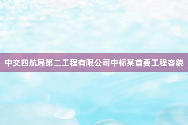 中交四航局第二工程有限公司中标某首要工程容貌